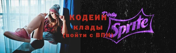 spice Алапаевск