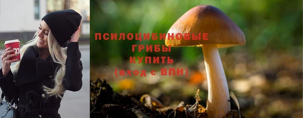 ешки Алагир