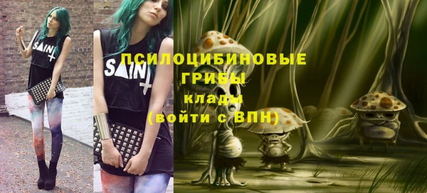 spice Алапаевск