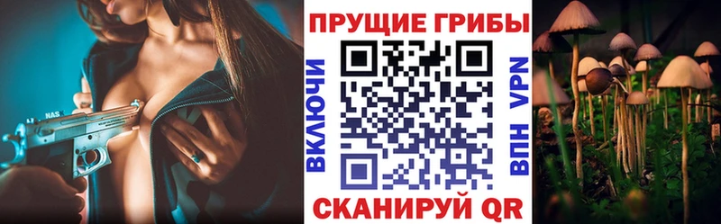 закладка  Благодарный  Галлюциногенные грибы GOLDEN TEACHER 