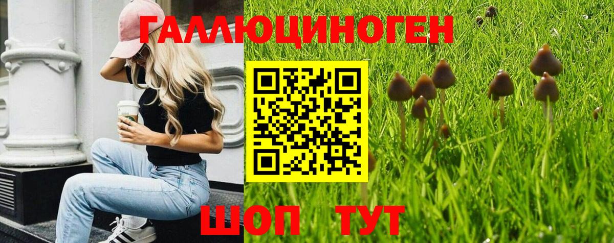 Галлюциногенные грибы прущие грибы Благодарный