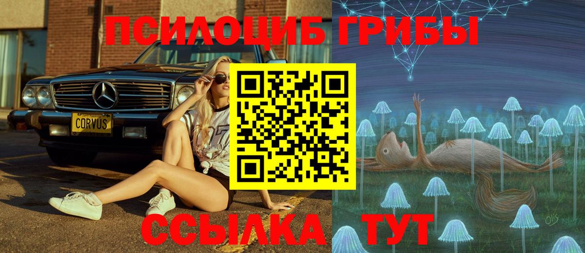Псилоцибиновые грибы ЛСД  Вход с VPN  Благодарный  Галлюциногенные грибы мицелий 
